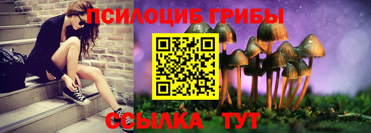 Галлюциногенные грибы прущие грибы  Псилоцибиновые грибы Cubensis  Вход с VPN  Менделеевск 